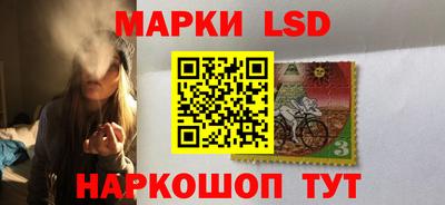 шишки Краснознаменск