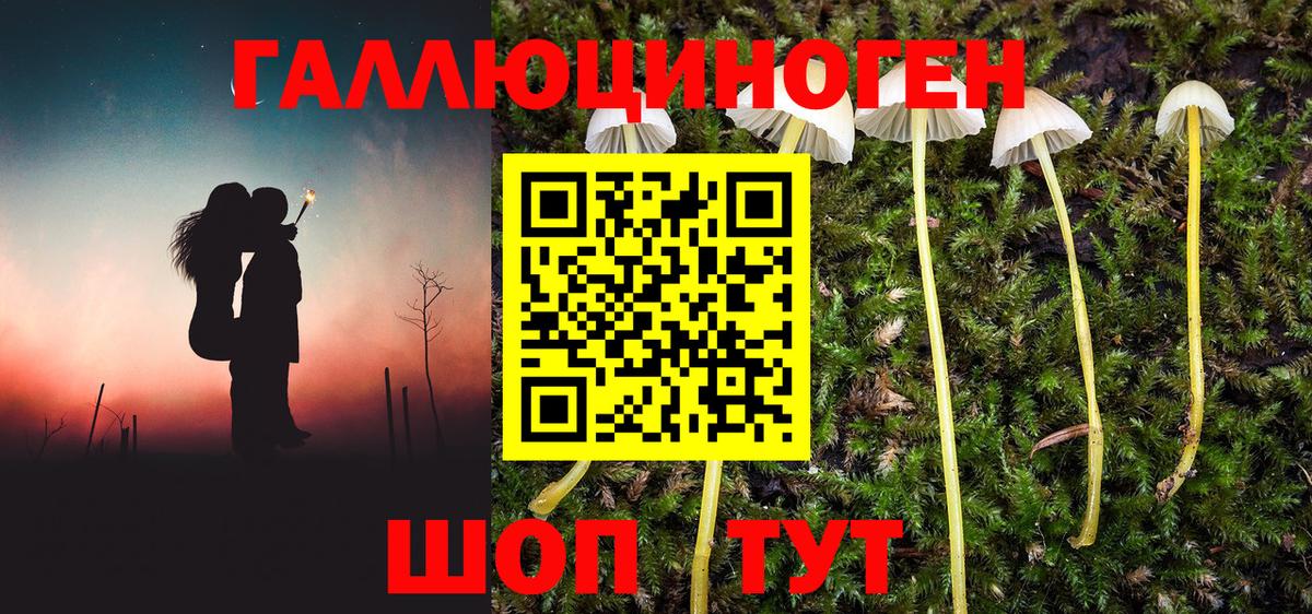 купить закладку  Галлюциногенные грибы Magic Shrooms  Псилоцибиновые грибы мухоморы  Вход с VPN  Киселёвск 